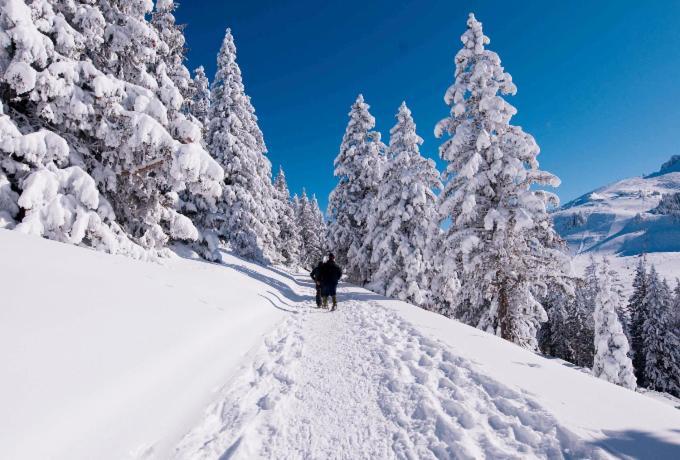 Votre Studio Balneo Bien-Etre A La Montagne Thollon-les-Memises Bagian luar foto